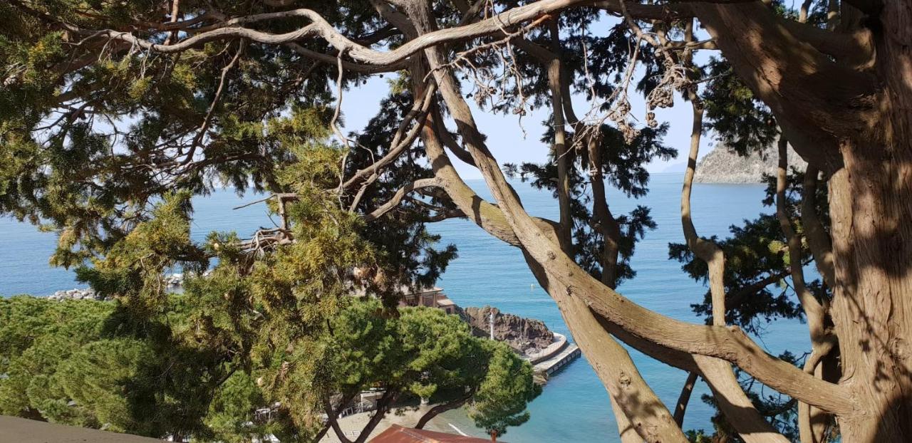 Villa Mare Blu Levanto Esterno foto